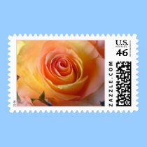 Unity Rose Postage postage by deesbasenjis Unity Rose Postage postage
