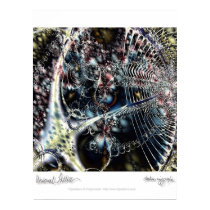 Universal Lattice posters