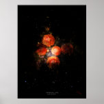 Universal love  posters