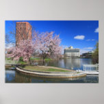 Universidad de la charca del campus de Massachuset Posters