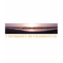 University of Chardonnay t-shirts