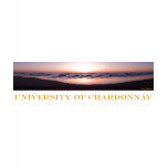 University of Chardonnay T Shirts