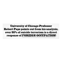 University of Chicago Professor Robert Pape Photo
