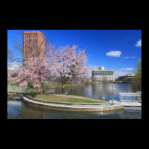 University of Massachusetts Campus Pond in Spring posters