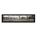 University of South Carolina Photo 1909 posters