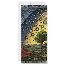 Universum Customized Rack Card