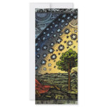 Universum Customized Rack Card