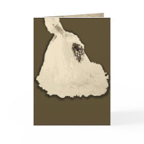 Unknown Bride cards