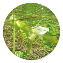 Unknown flower stickers by uniuni42 Unknown flower stickers