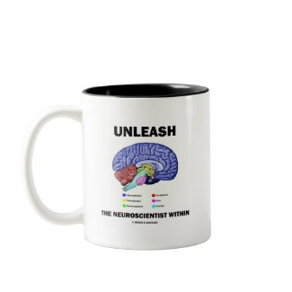 Unleash The Neuroscientist Within (Brain Anatomy) mug