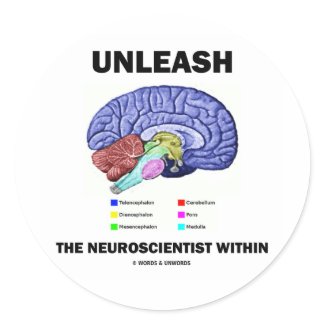 Unleash The Neuroscientist Within (Brain Anatomy) sticker