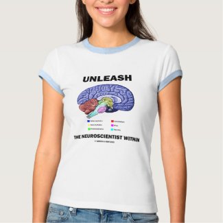 Unleash The Neuroscientist Within (Brain Anatomy) shirt