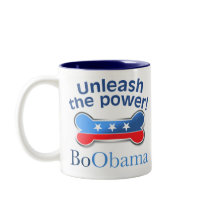 Unleash the power! mugs