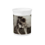 Unlimited Happiness Beverage Pitcher