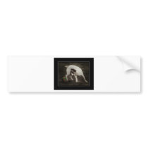 Unlimited Happiness Bumper Sticker