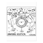 Unnatural Selection postcards