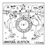 Unnatural Selection posters