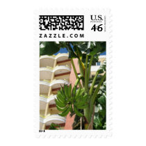 Unripe Bananas In Front Of The Hotel In Albania Stamp