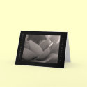 Unsere Gedanken sind bei Dir - Grusskarte Rose cards by Rainmountain Unsere Gedanken sind bei Dir - Grusskarte Rose cards