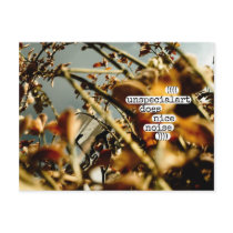 ((((unspecialart does nice noise)))) post card
