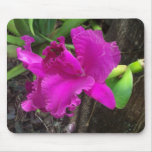 Untamed Beauty Mousepad