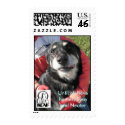 Until all have homes. postage by kcafpets Until all have homes. postage