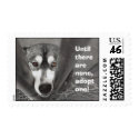 Until there are none, adopt one! postage