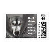 Until there are none, adopt one! postage stamps