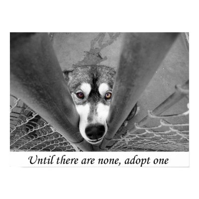 Until there are none, adopt one poster by redsnipe
