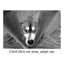 Until there are none, adopt one posters
