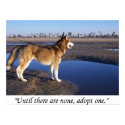 Until there are none, adopt one posters