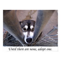 Until there are none, adopt one (watercolor) posters