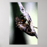 Untitled #17 poster