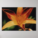 Untitled #2 posters