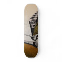 Untitled #3 collage skate deck skateboards