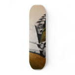 Untitled #3 collage skate deck