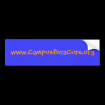 Untitled Bumper Sticker bumper stickers