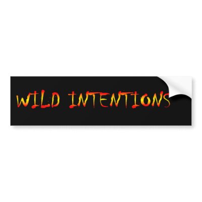 Untitled Bumper Sticker by wilditentionsband