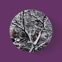 Untitled Button