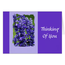 Untitled Card