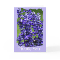 Untitled Card