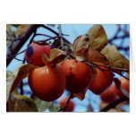 untitled greeting card