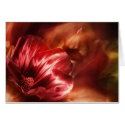 Untitled cards