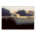 untitled cards