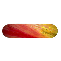 Untitled Creation Skate Board