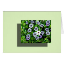 untitled forgetmenot cards