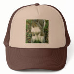 Untitled Hat