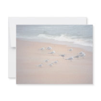Untitled Invitations