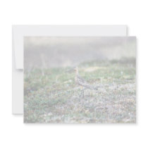 Untitled Personalized Invites