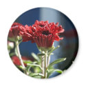 Untitled Magnet by dawnlopez331 Untitled Magnet